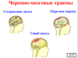 Основы медицинских знаний - Мобильный комплекс для обучения и контроля знаний по ОБЖ - Учебный материал - Учебные фильмы - Магазин кабинетов по охране труда "Охрана труда и Техника Безопасности"